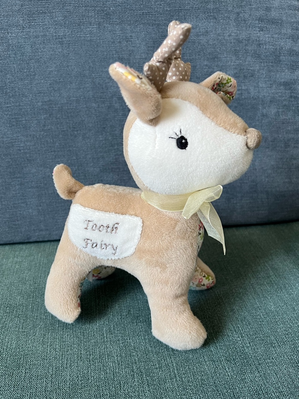Farrah and Fawn Tooth Fairy